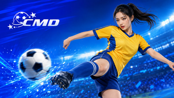 SportEmpire quyền Anh câu hỏi thường gặp – hướng dẫn đầy đủ và dễ hiểu - Thể thao