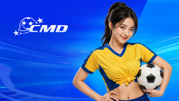 Paripesa MMA tìm đội – hướng dẫn đầy đủ và dễ hiểu - Thể thao