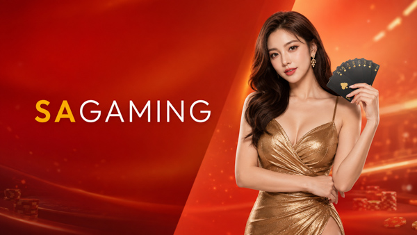 BoaBoa SA Gaming 历史记录 完整指南与实用要点 - 真人娱乐场
